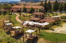 Wine Tasting in Tuscany