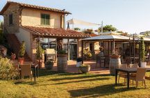 Creative Cooking for Young Chefs in Tuscany