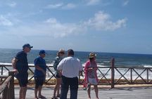 4-Hour Private Tour in Cozumel with Pickup