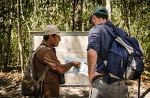 Calakmul Ancient Maya City Tour - From Campeche