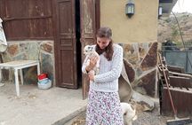 Tenerife Animal Farm Private Car Tour. Canarian Cheese and Wine