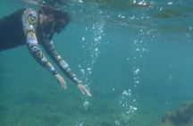 Dominica: Chasing Waterfalls Experience 