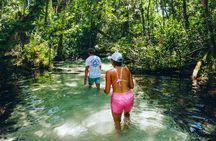 Rainbow Springs: Clear Kayak & Snorkel Eco Tour