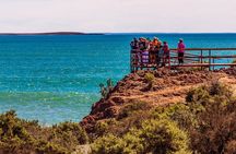 Peninsula de Valdes - Puerto Madryn **(Shared tour for cruises)**