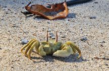 Full-Day Exclusive Private Tour to Nosy Tanikely Marine Reserve 