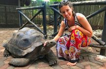 10 Days-Tanzania Group Safari and Beach Tours
