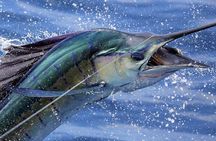 Private Fishing & Snorkel Charters in St Kitts and Nevis