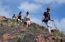 Mount Batur Volcano Sunrise Trekking with Breakfast