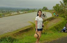 Ulundanu Bratan Temple, Jatiluwih Rice Terrace and Tanah Lot Sunset Tour