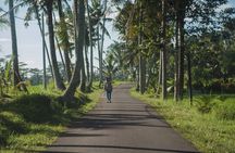 Ubud Art, Monkey Forest and Rice Terrace Tour