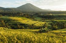 Bali Charm: Full-Day Bedugul and Tanah Lot Tour (UNESCO) - All Inclusive Tickets