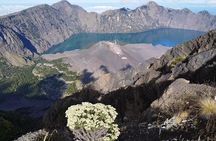 Rinjani Trekking Three Days Two Night Summit Lake