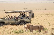 Overnight Budget Camping Tour to Maasai Mara.