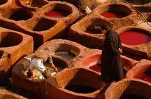 Full day Fez Guided Tour 