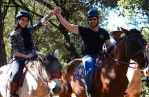 2-Hour Horseback Safari in Hartbeespoort