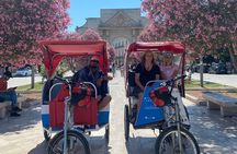Guided Tour of the Historic Attractions of Lecce Private