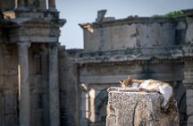 NEW: Private The Most Detailed Ephesus Shore Excursion / with Lunch