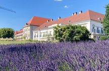 Half day private walking tour on the BUDA side