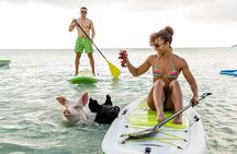 Swimming Pigs & ATV Tour