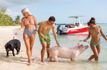Swimming Pigs & ATV Tour