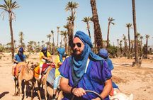 Marrakech Palmeraie Tour with 1 Hour Camel Ride