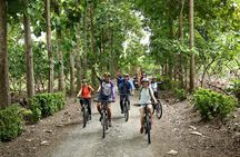 Chocolate Bike Tour/ Pedal, explore and taste!