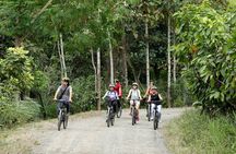 Chocolate Bike Tour/ Pedal, explore and taste!