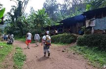 Day trip to materuni waterfalls and coffee tour