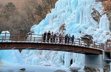 Eobi Ice Wall & Nami Island & Morning Calm Light Festival