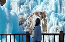 Eobi Ice Wall & Nami Island & Morning Calm Light Festival