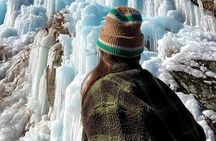 Eobi Ice Wall & Nami Island & Morning Calm Light Festival
