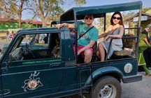 Bandipur wildlife and Mysore experience in 2 days from Bangalore