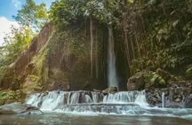  Private Tour to Sumampan Waterfall, Monkey forest, Rice terraces and Swing
