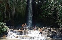  Private Tour to Sumampan Waterfall, Monkey forest, Rice terraces and Swing