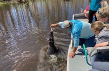 Small Airboat and Oak Alley Plantation Tour from New Orleans