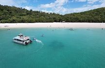 Whitehaven Beach Club Transfers from Airlie Beach