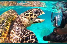 Full-Day Exclusive Private Tour to Nosy Tanikely Marine Reserve 