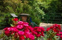 Private Trip Through the Heart of Crete, Picnic & Wine Tasting