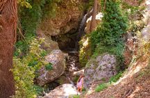 Half-Day Private Tour & Picnic in Real Cretan Countryside Retreat