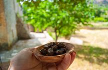 Half-Day Private Tour & Picnic in Real Cretan Countryside Retreat