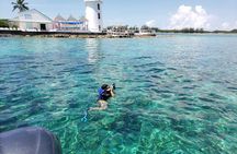 Rose Island: Private Snorkeling, Fishing, and Swimming with Pigs