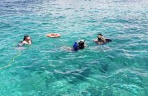 Rose Island: Private Snorkeling, Fishing, and Swimming with Pigs