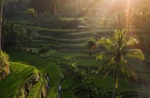 Bali Nature and Paradise Escape | With The Best Bali Driver