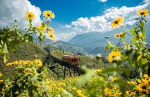 Sapa: Trek, Food, Culture, Fansipan Cable Car & Train from Hanoi