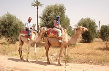 Marrakech Palmeraie Tour with 1 Hour Camel Ride