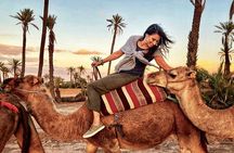 Marrakech Palmeraie Tour with 1 Hour Camel Ride