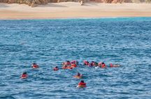 Snorkel & Sunset Sail in Cabo San Lucas