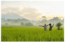 Bali Private Day Tour: The Volcano, Hot Springs & Rice Terraces