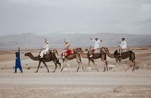 Private 2 Day Tour Casablanca to Marrakech with night in Desert