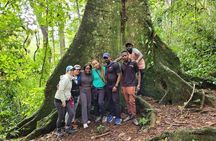 Full-Day Jinja Sightseeing Trip with Source of the Nile Boat Cruise